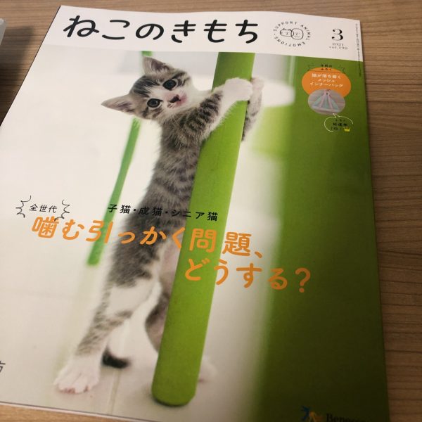 ねこのきもち】毎月届くベネッセの猫情報雑誌 - 福袋ギルド